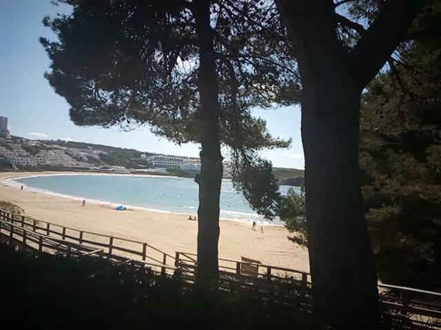 Castellsol Arenal Home Beach Punta Grossa Rom bilde