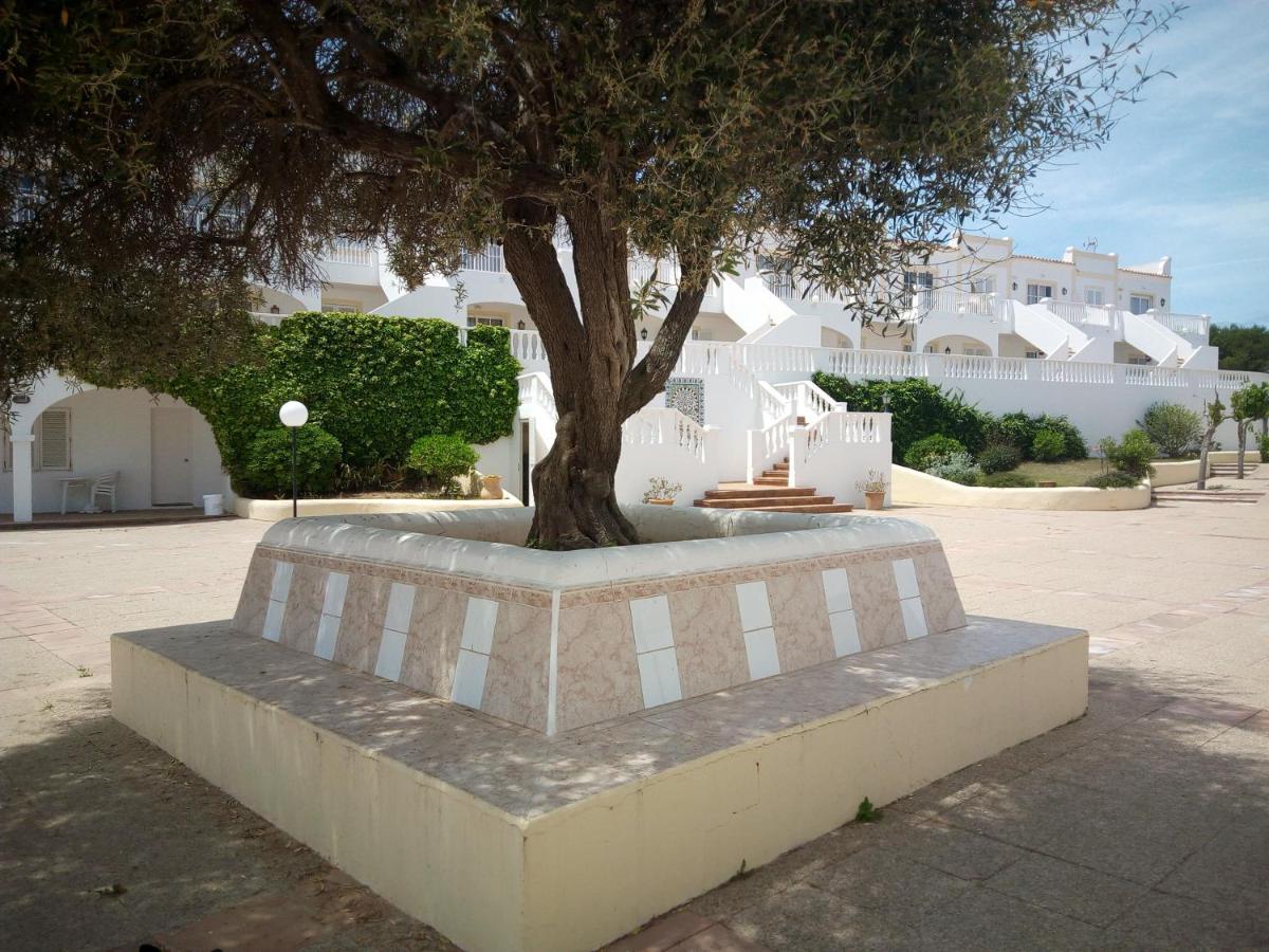 Castellsol Arenal Home Beach Punta Grossa Rom bilde
