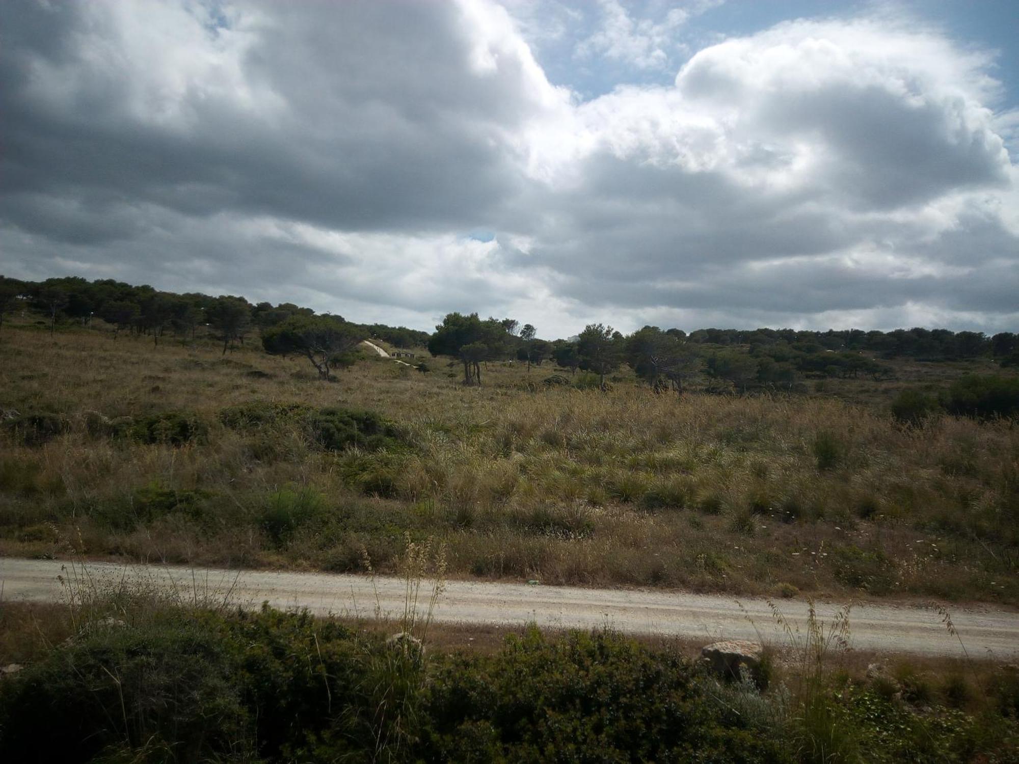 Castellsol Arenal Home Beach Punta Grossa Rom bilde